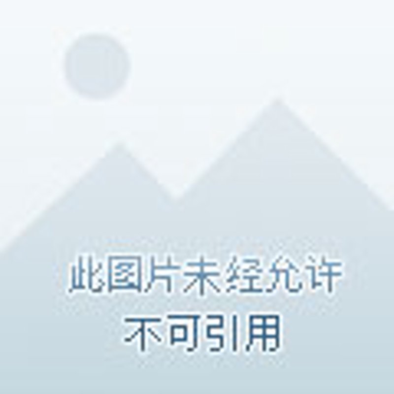 白云区美食探索：从传统到现代的味觉盛宴
